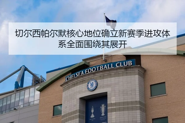 切尔西帕尔默核心地位确立新赛季进攻体系全面围绕其展开