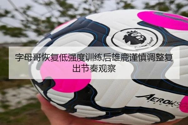字母哥恢复低强度训练后雄鹿谨慎调整复出节奏观察